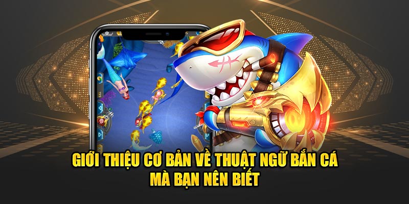 Giới thiệu cơ bản về thuật ngữ bắn cá mà bạn nên biết 